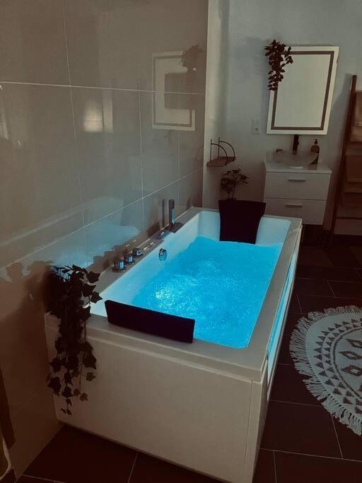 Appartement Glamour Tout Equipe Avec Balneo Et Sauna Nancy Buitenkant foto